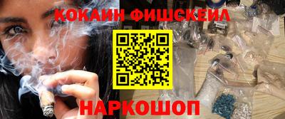 крисы Моздок