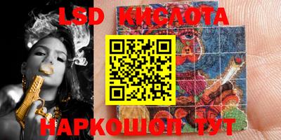 крисы Моздок