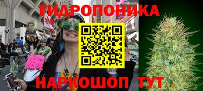 трава Можайск