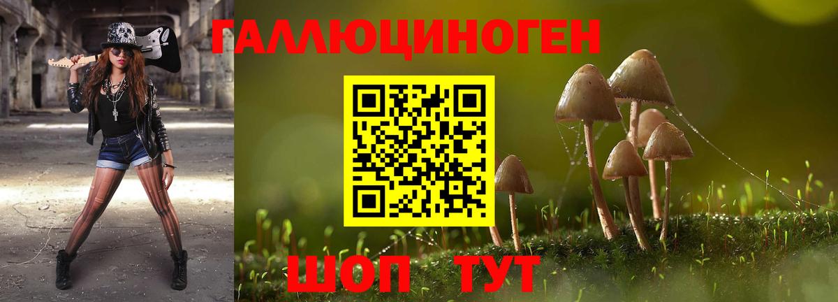 Обнинск  Псилоцибиновые грибы Magic Shrooms  даркнет сайт  Вход с VPN 